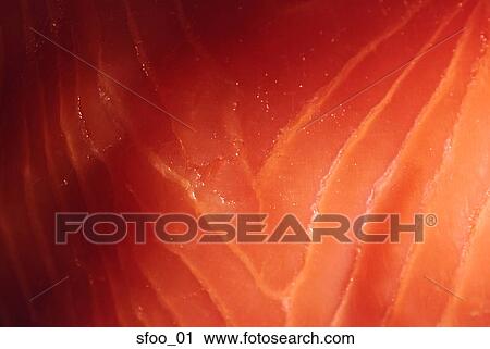lox, salmon, close-up, seafood, food, cooking, smoked View Large Photo Image Stock Image - lox, salmon, close-up, seafood, food, cooking, smoked. Fotosearch
