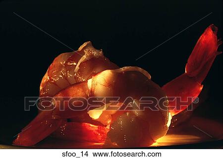 shrimp, prawn, cooked, jumbo, large, close-up, food View Large Photo Image Picture - shrimp, prawn, cooked, jumbo, large, close-up, food. Fotosearch