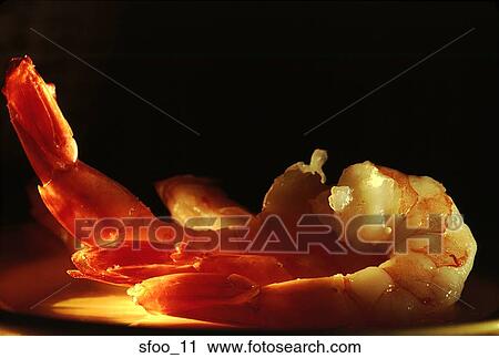 shrimp, prawn, cooked, jumbo, large, close-up, food View Large Photo Image Stock Image - shrimp, prawn, cooked, jumbo, large, close-up, food. Fotosearch