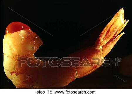 shrimp, prawn, cooked, jumbo, large, close-up, food View Large Photo Image Stock Photography - shrimp, prawn, cooked, jumbo, large, close-up, food. Fotosearch