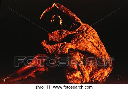 mushroom, unusual, abstract, close-up, food, cooking, art View Large Photo Image Stock Image - mushroom, unusual, abstract, close-up, food, cooking, art. Fotosearch