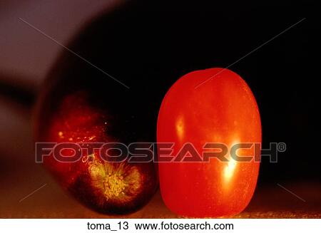 tomato, cherry food, vegetable, cooking, close-up, composition, eggplant View Large Photo Image Stock Image - tomato, cherry food, vegetable, cooking, close-up, composition, eggplant. Fotosearch