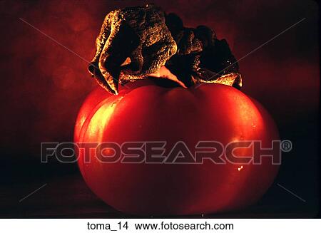 tomato, red, close-up, food, vegetable, cooking, moody View Large Photo Image Picture - tomato, red, close-up, food, vegetable, cooking, moody. Fotosearch