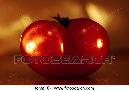 tomato, red, close-up, food, vegetable, cooking, moody View Large Photo Image Stock Photo - tomato, red, close-up, food, vegetable, cooking, moody. Fotosearch