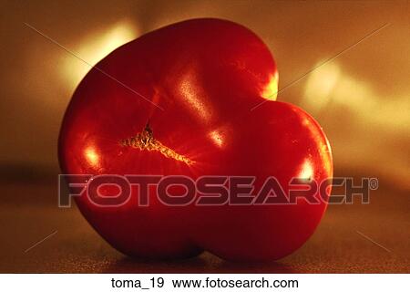 tomato, red, close-up, food, vegetable, cooking, unusual View Large Photo Image Stock Photo - tomato, red, close-up, food, vegetable, cooking, unusual. Fotosearch