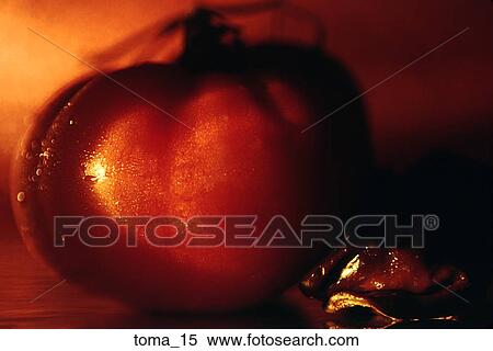 tomato, red, close-up, food, vegetable, cooking, moody View Large Photo Image Stock Photography - tomato, red, close-up, food, vegetable, cooking, moody. Fotosearch