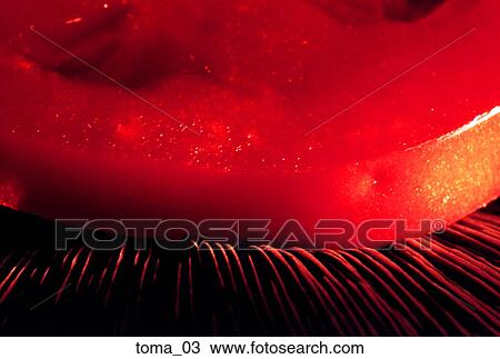 Stock Image - tomato, red, tight close-up, food, vegetable, cooking, slice. Fotosearch