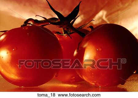 tomatoes, vine, red, close-up, food, vegetable, cooking View Large Photo Image Stock Photo - tomatoes, vine, red, close-up, food, vegetable, cooking. Fotosearch