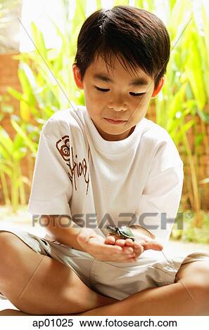 Stock Photography - Boy holding terrapin in hand. Fotosearch