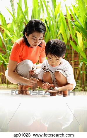 Mother and son crouching, son holding terrapin View Large Photo Image Stock Image - Mother and son crouching, son holding terrapin. Fotosearch