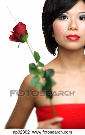 Woman holding single stalk of rose View Large Photo Image Stock Image - Woman holding single stalk of rose . Fotosearch