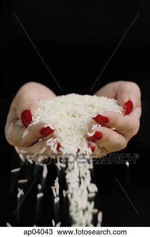Woman holding rice in cupped hands View Large Photo Image Stock Image - Woman holding rice in cupped hands . Fotosearch