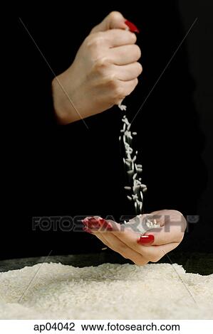 Woman pouring rice into cupped hands View Large Photo Image Stock Image - Woman pouring rice into cupped hands. Fotosearch