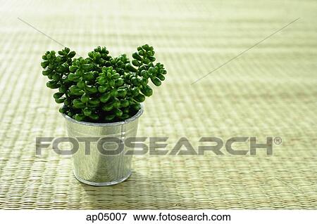 Artificial plant in a pot View Large Photo Image Stock Photo - Artificial plant in a pot. Fotosearch