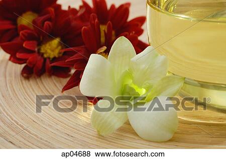 Close-up of flower next to glass View Large Photo Image Stock Photo - Close-up of flower next to glass. Fotosearch