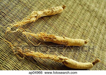Dried Ginseng View Large Photo Image Stock Photograph - Dried Ginseng. Fotosearch