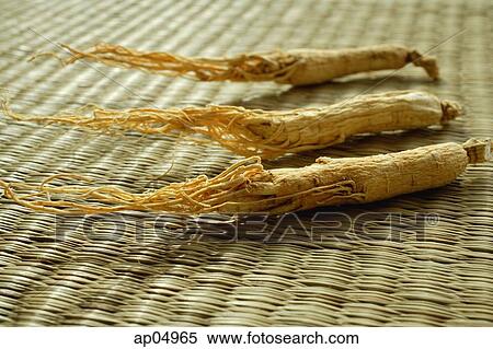 Stock Photography - Still life of dried ginseng. Fotosearch