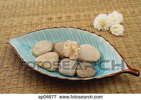 Still life of flower on plate of pebbles View Large Photo Image Stock Photo - Still life of flower on plate of pebbles. Fotosearch
