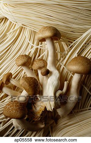 Chinese noodles and mushrooms, close up View Large Photo Image Stock Photo - Chinese noodles and mushrooms, close up. Fotosearch