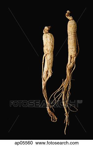 Stock Image - Ginseng, still life. Fotosearch