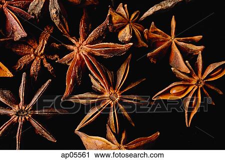Star anise, still life View Large Photo Image Stock Image - Star anise, still life. Fotosearch