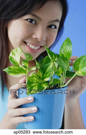 Young woman holding houseplant View Large Photo Image Stock Image - Young woman holding houseplant. Fotosearch
