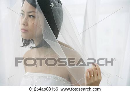 A bride with a veil View Large Photo Image Stock Photograph - A bride with a veil. Fotosearch