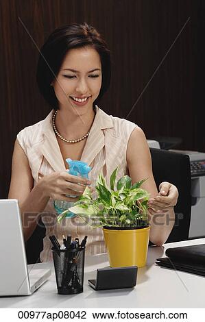 A woman tends to a pot plant on her desk View Large Photo Image Stock Image - A woman tends to a pot plant on her desk. Fotosearch