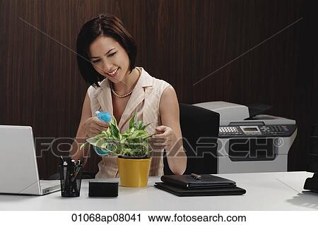 A woman tends to a pot plant on her desk View Large Photo Image Stock Image - A woman tends to a pot plant on her desk. Fotosearch