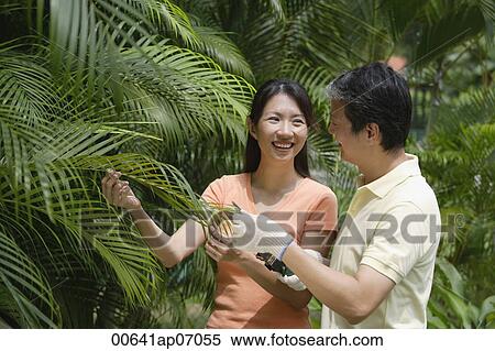 Stock Photography - Couple outdoors in garden, looking at palm plant. Fotosearch