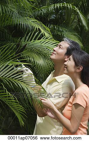 Couple outdoors in garden, studying palm plant View Large Photo Image Stock Photograph - Couple outdoors in garden, studying palm plant. Fotosearch