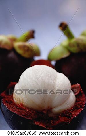 Stock Image - Mangosteen. Fotosearch