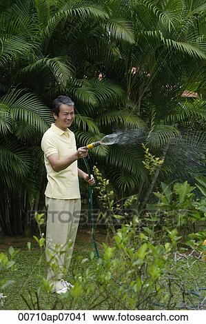 Mature man watering plants in garden View Large Photo Image Stock Image - Mature man watering plants in garden. Fotosearch