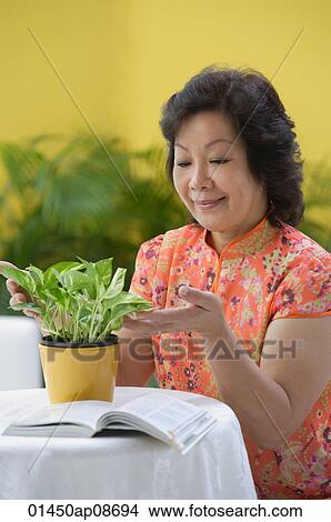 Mature woman pruning plant View Large Photo Image Picture - Mature woman pruning plant. Fotosearch