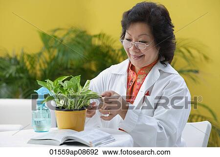 Mature woman pruning plant View Large Photo Image Stock Image - Mature woman pruning plant. Fotosearch