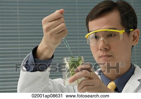 Scientist examining jar with plant samples View Large Photo Image Stock Image - Scientist examining jar with plant samples. Fotosearch