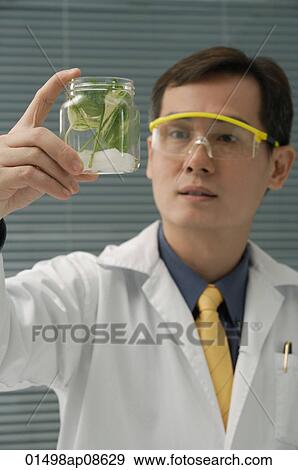 Scientist examining jar with plant samples View Large Photo Image Stock Photo - Scientist examining jar with plant samples. Fotosearch