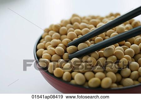 Still life of soya beans View Large Photo Image Stock Photo - Still life of soya beans. Fotosearch