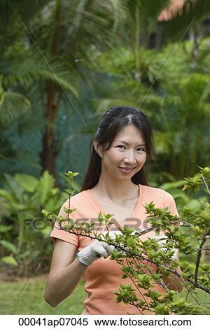 Woman in garden, pruning plant, smiling at camera View Large Photo Image Stock Photography - Woman in garden, pruning plant, smiling at camera. Fotosearch