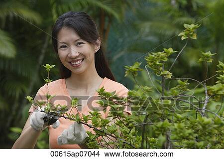 Woman in garden, pruning plants, smiling at camera View Large Photo Image Picture - Woman in garden, pruning plants, smiling at camera. Fotosearch