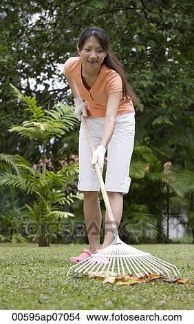 Woman raking leaves View Large Photo Image Picture - Woman raking leaves. Fotosearch