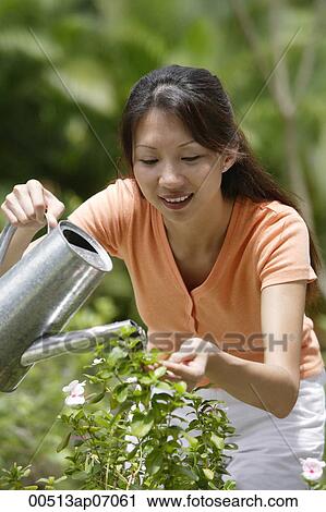 Woman watering plants with watering can View Large Photo Image Stock Image - Woman watering plants with watering can. Fotosearch
