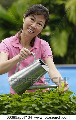 Picture - Woman with watering can, watering plants. Fotosearch