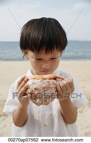 Young boy on beach looking at giant conk shell View Large Photo Image Stock Image - Young boy on beach looking at giant conk shell. Fotosearch