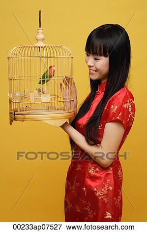 Young woman holding lovebird in bird cage, looking at bird View Large Photo Image Stock Photo - Young woman holding lovebird in bird cage, looking at bird. Fotosearch