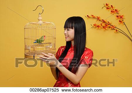 Young woman holding lovebird in bird cage View Large Photo Image Stock Photography - Young woman holding lovebird in bird cage. Fotosearch