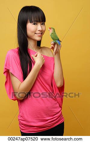 Young woman holding lovebird on her hand View Large Photo Image Stock Image - Young woman holding lovebird on her hand. Fotosearch
