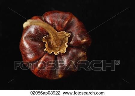 Dried chilli pepper View Large Photo Image Stock Image - Dried chilli pepper. Fotosearch