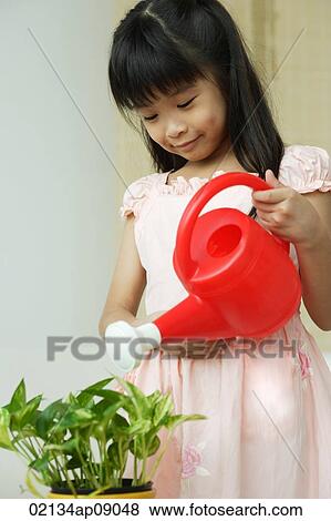 Girl watering plant View Large Photo Image Stock Photo - Girl watering plant. Fotosearch