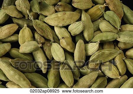 Lot of cardamom seeds View Large Photo Image Stock Photography - Lot of cardamom seeds. Fotosearch